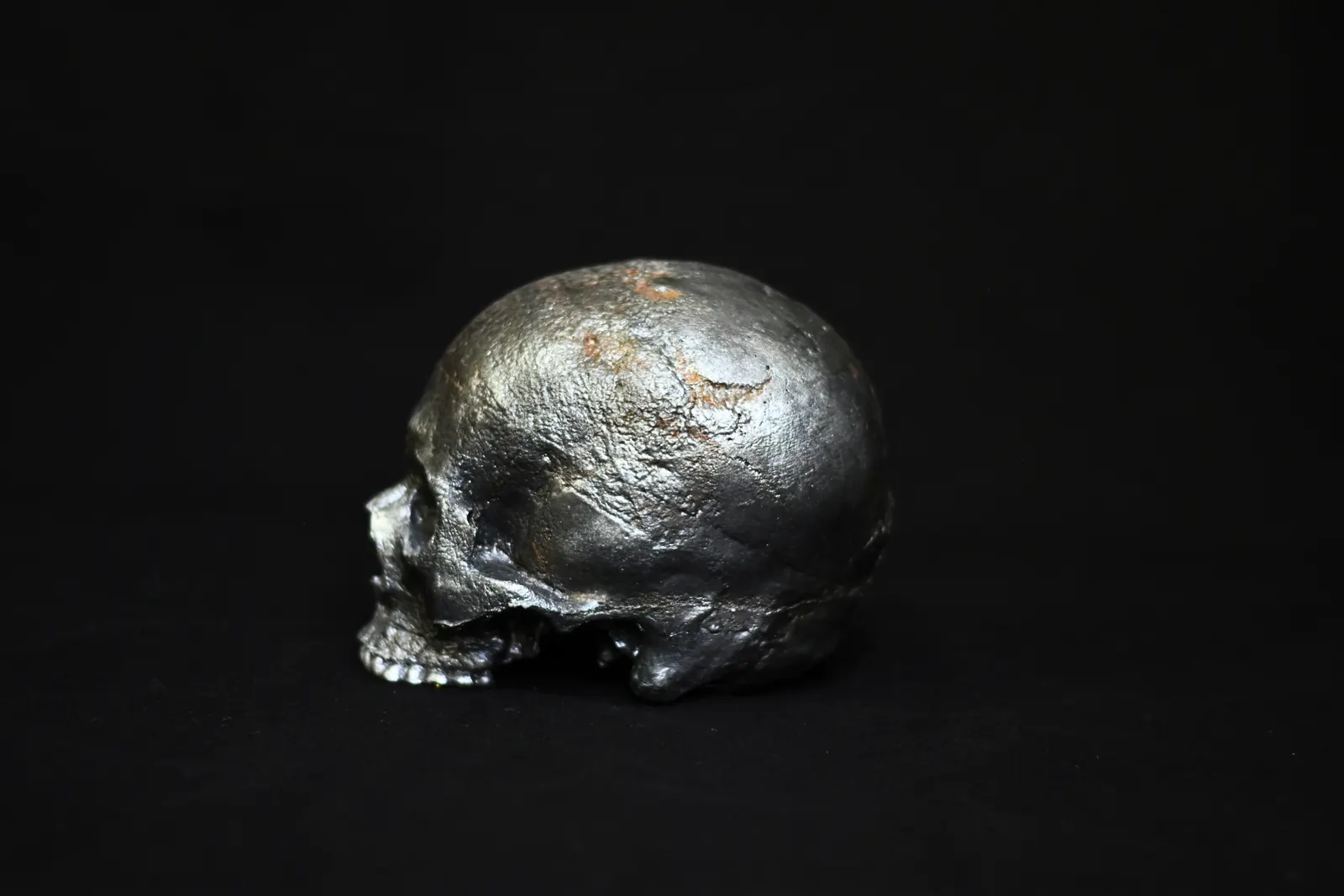 Crâne mousse polyuréthane — vue 2